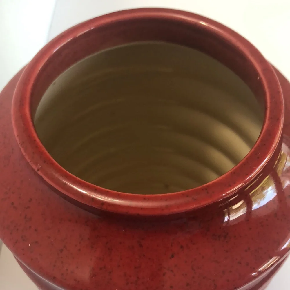 Pier 1 Made In India Red Speckled Ribbed Vase